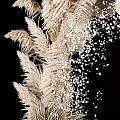 Golden Feather Like Flower Ornamental Decor Set With Small Particle Embellishments On Black Background