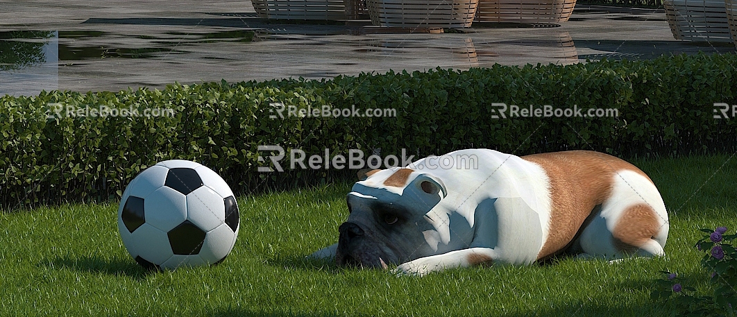 Dog Football Grass Shrub 3d model