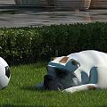 Small Reptile Resting on Green Grass Next to Soccer Ball and Hedge Bushes
