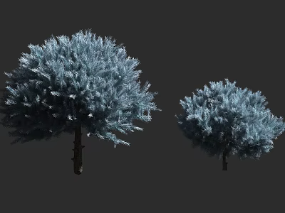 Blue Fluffy Evergreen Shrubs Large And Small Pair For Garden Landscaping 3d model