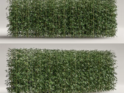 Living Plant Wall With Lush Green Foliage For Indoor Decorative Design 3d model