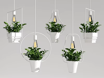 Indoor Hanging Basket Plants With White Pots Metal Frames And Light Bulbs 3d model