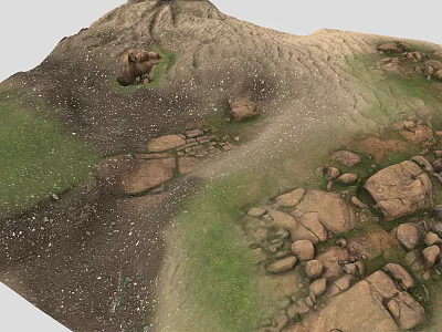 Scenic Mountain Landscape With Green Grass Scattered Rocks And Wild Bear On Slope 3d model