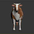 Orange And White Spotted Cow With Horns Standing On Gray Background With Reflection