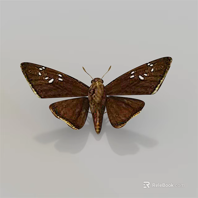 Detailed Brown Flying Insect With White Spots And Golden Wing Edges 3d model 