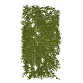 Lush Green Vine Wall Covering Gray Background Surface With Dense Foliage 3d model