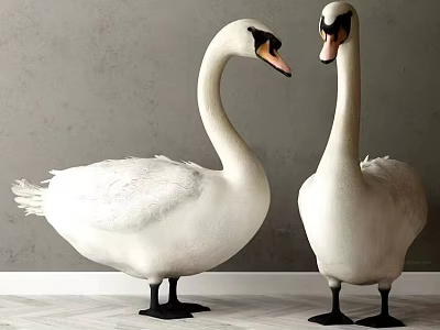 Two White Swans Standing Face to Face Against Gray Wall With Black Beaks On Light Floor 3d model