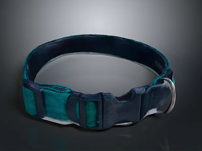 Durable Teal And Navy Blue Pet Collar With Secure Metal Buckle 3d model