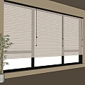 White Venetian Blinds On Window In Modern Room With Natural Light And Green Plant