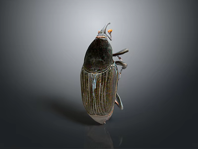 Close up view of black striped beetle with orange antennae on smooth dark surface 3d model