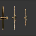 Various Animal Skeletal Remains Featuring Different Bone Types Shapes And Structures