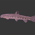 Spotted Fish With Brown And Black Patterns On Slender Body And Fins