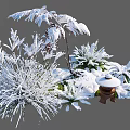 Snow Covered Garden Decor With Frosted Plants And Lantern Ornament In Winter