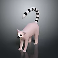 Pink Bodied Lemur With Black And White Striped Tail Standing On Dark Background