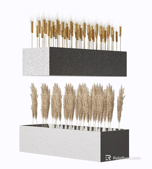 Pampas Grass and Wheat Ears in Black White Rectangular Decorative Planters 3d model 