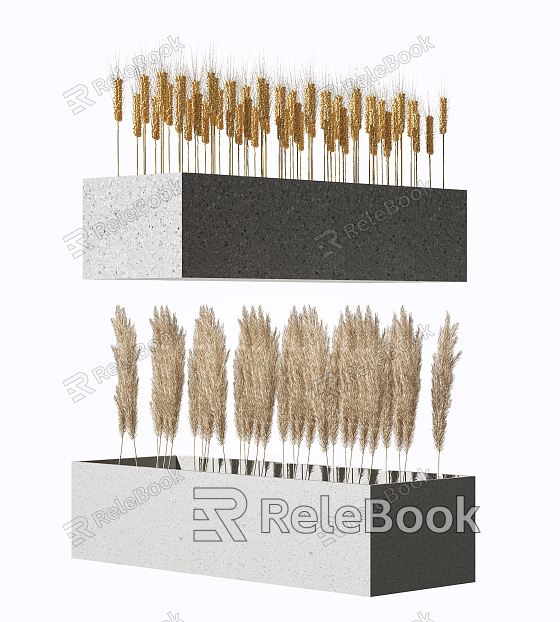 modern wheat reed wheat ear model