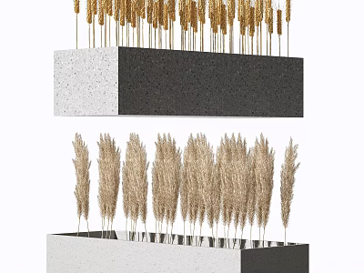 Pampas Grass and Wheat Ears in Black White Rectangular Decorative Planters 3d model
