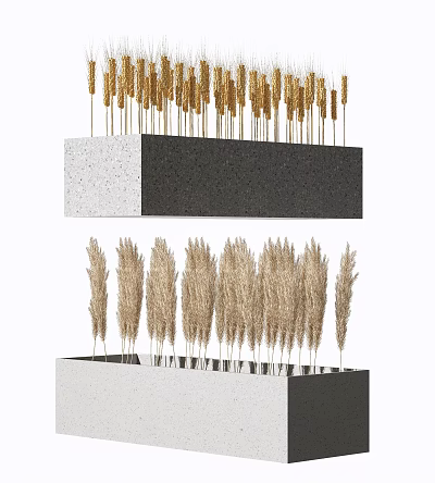 Pampas Grass and Wheat Ears in Black White Rectangular Decorative Planters 3d model