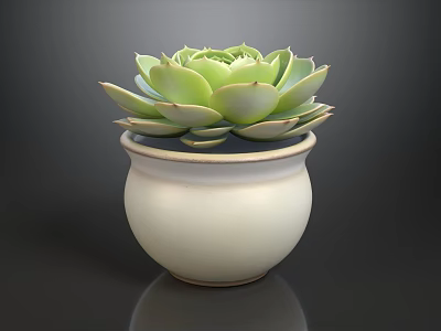 Succulent Plant in White Ceramic Pot with Plump Green Leaves on Dark Background 3d model