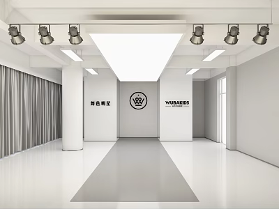 Bright Modern Fitness Studio Interior With Spacious Area And Lighting 3d model