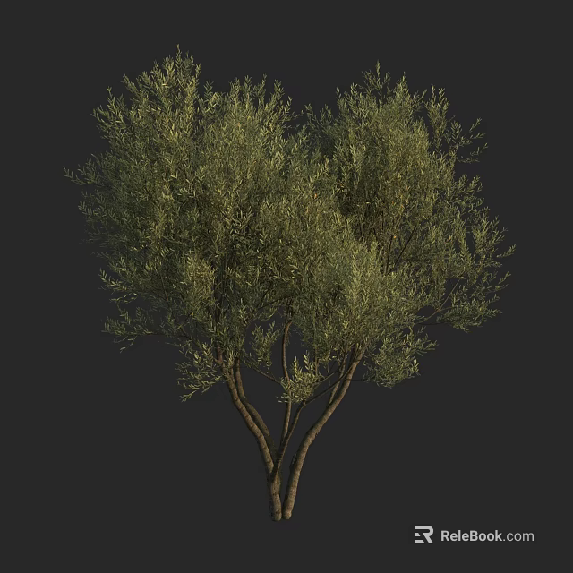 Lush Green Arbor With Dense Foliage Strong Trunk And Branches 3d model 