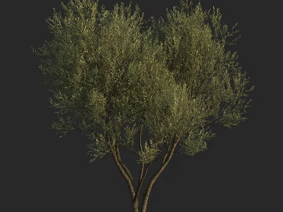 Lush Green Arbor With Dense Foliage Strong Trunk And Branches 3d model
