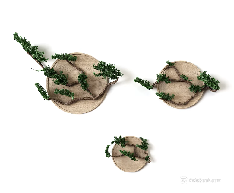 Natural Round Wall Decor With Green Branches And Wooden Frames 3d model