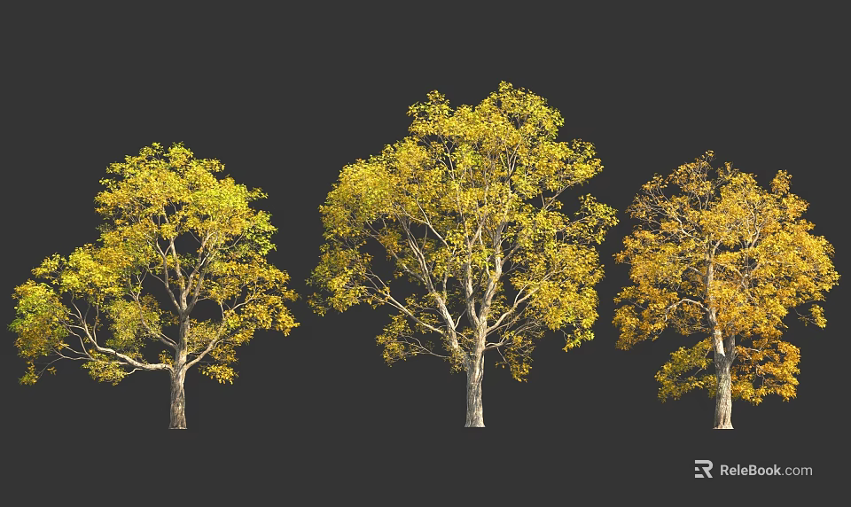 Three Trees With Vibrant Yellow Leaves Against Dark Black Background 3d model 