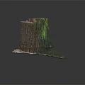 Green Plants Growing On Tree Stump With New Sprouts And Surrounding Soil Details