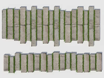 Garden Path Paving Design With Gray Bricks And Grass Between Gaps 3d model