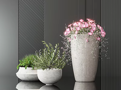 Large Gray Concrete Pot With Pink Flowers And Two Smaller White Potted Green Plants 3d model