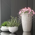 Large Gray Concrete Pot With Pink Flowers And Two Smaller White Potted Green Plants
