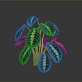 Vibrant Green Houseplant With Striking Striped Foliage For Indoor Decor