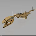 Sharp Toothed Fish Skeleton Display With Black Support Rods On Dark Background