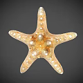 Orange Starfish With Five Arms And White Spots On Dark Background