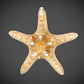 Modern Starfish 3d model