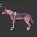 Stylized Low Poly 3D Wolf Model With Gray Beige Fur Standing Pose