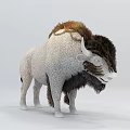 Animal combination 3d model