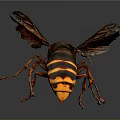 Orange Black Striped Hornet With Transparent Wings And Long Legs On Dark Background 3d model