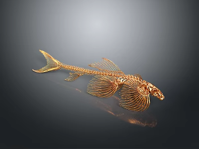 Aquatic Animal Golden Skeleton With Fins And Tail In Reflective Background 3d model