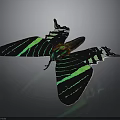 Vibrant Butterfly With Black And Green Striped Wings On Gray Background