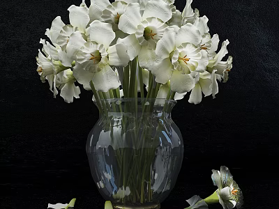 White Narcissus Flowers in Transparent Glass Vase on Black Background with Fallen Petals 3d model