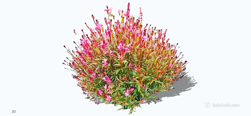 Vibrant Pink Flowers With Red Stems In Lush Green Bushy Cluster 3d model 