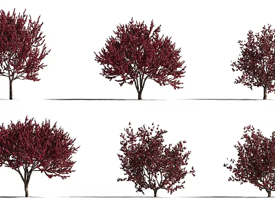 Crimson Leaf Arbor Trees With Various Shapes On Isolated White Background 3d model