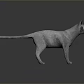 3D Model of Gray Cat With Purple Eyes in Standing Pose on Gray Gradient Background