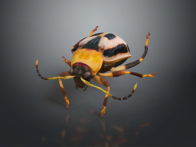 Vibrant Yellow Black White Beetle With Long Antennae And Legs On Dark Background 3d model