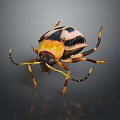 Vibrant Yellow Black White Beetle With Long Antennae And Legs On Dark Background