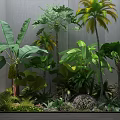 Lush Tropical Green Plants Collection With Banana Leaves Palm Trees And Ferns