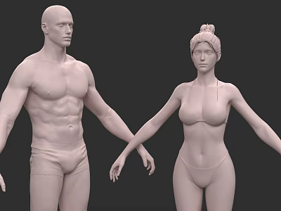 High Precision Realistic Character Carving White Male and Female Character Anatomy Reference 3d model