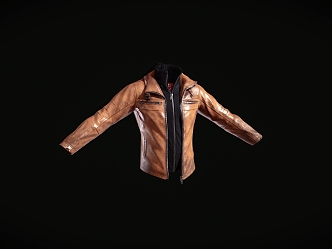 Top Leather Jacket 3d model